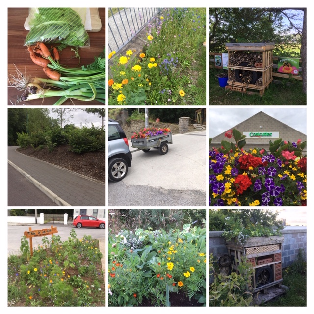 Collage June-July 2019